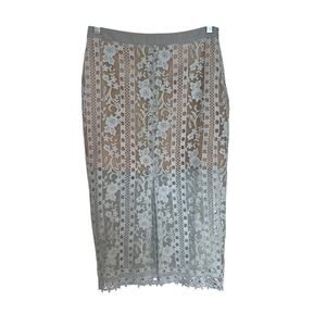 Elegant Sheer Floral Lace Pencil Skirt by Endless Rose
